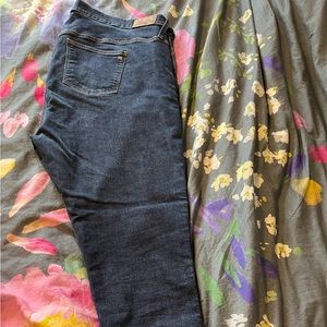 Madewell Jeans 10” high rise skinny jeans. Women’s Plus 37